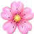 pt_icon1