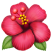pt_icon2